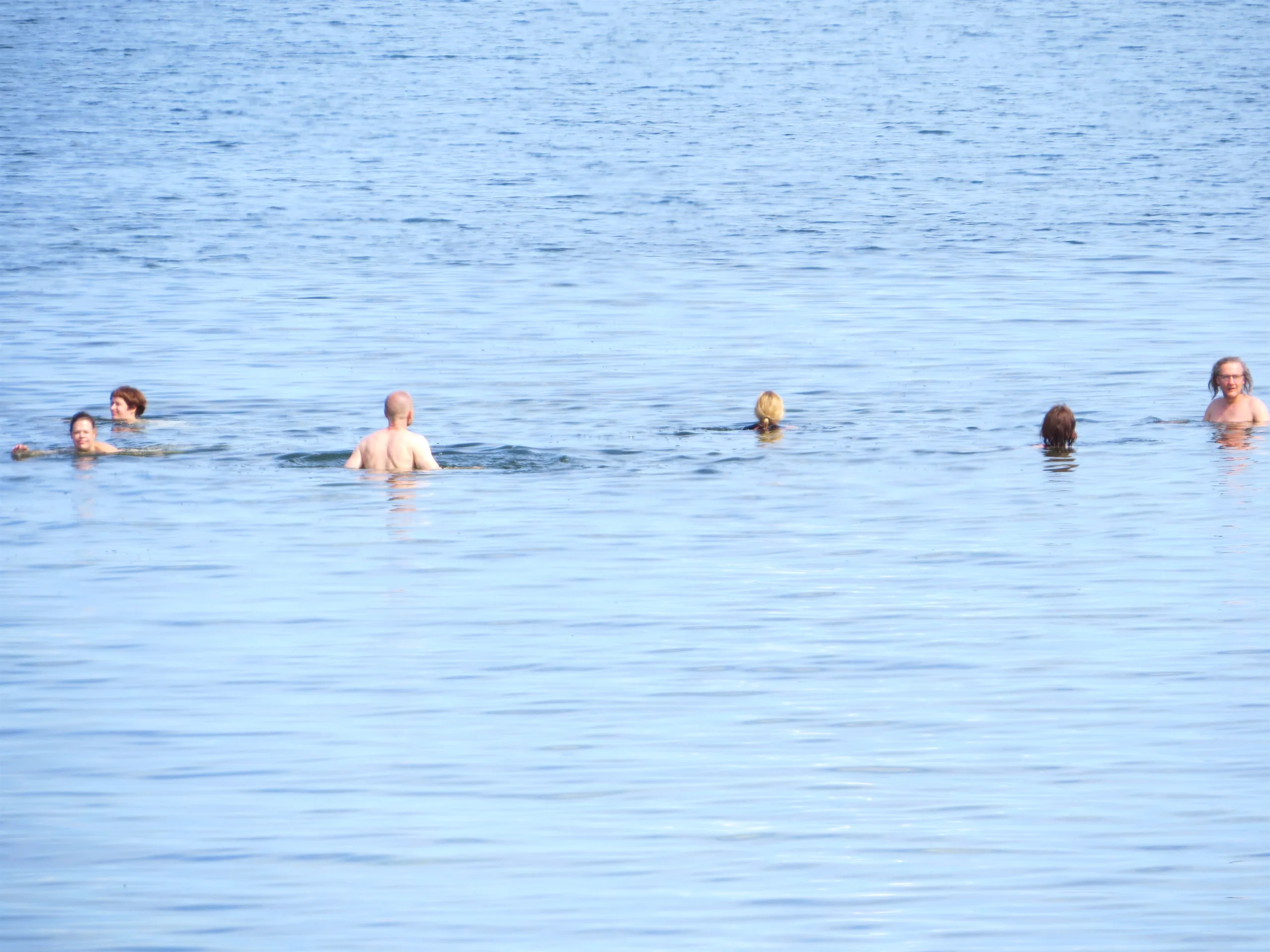 Tõlkijad ujumas