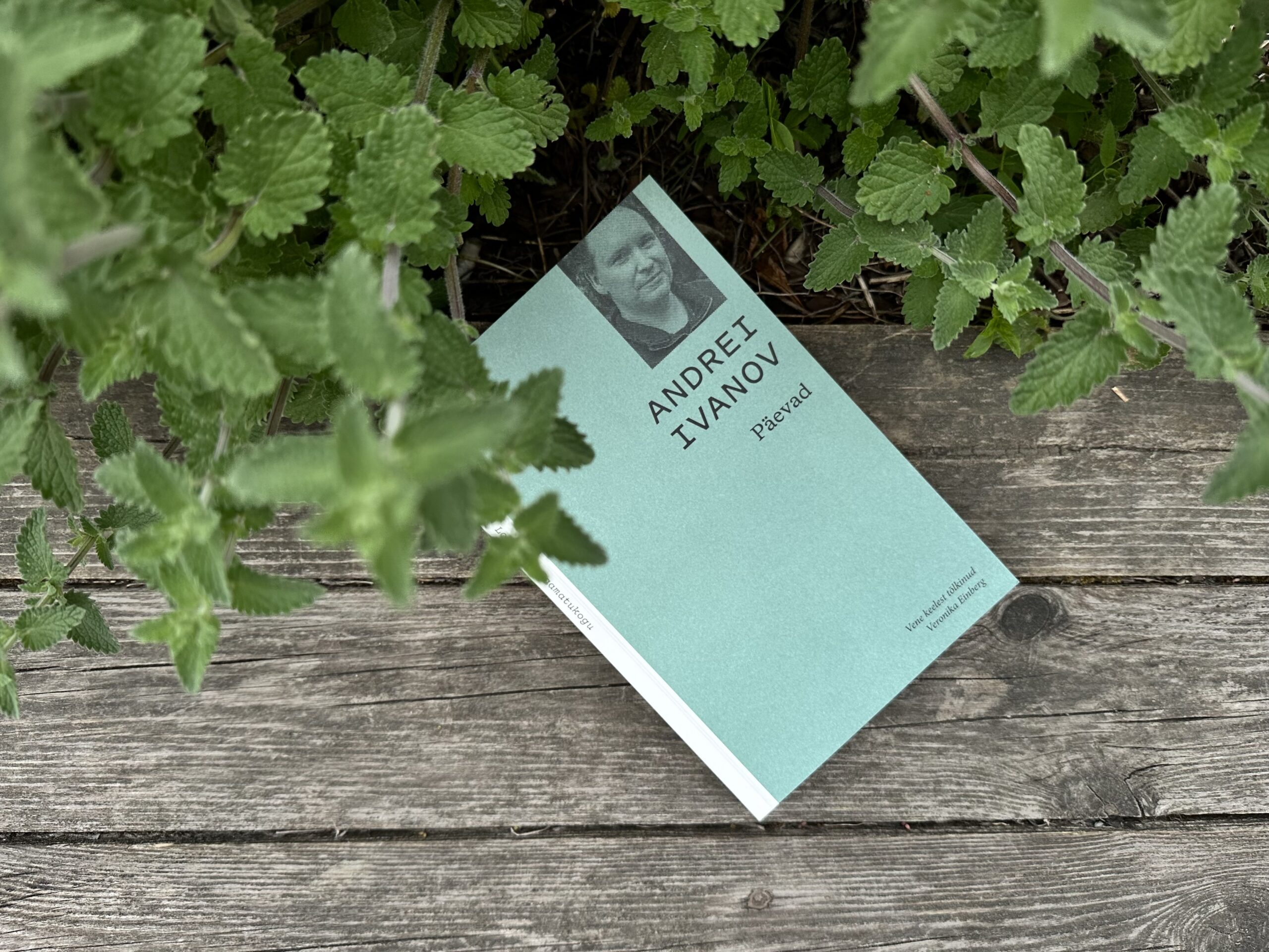 Pimekohtade läbivalgustus