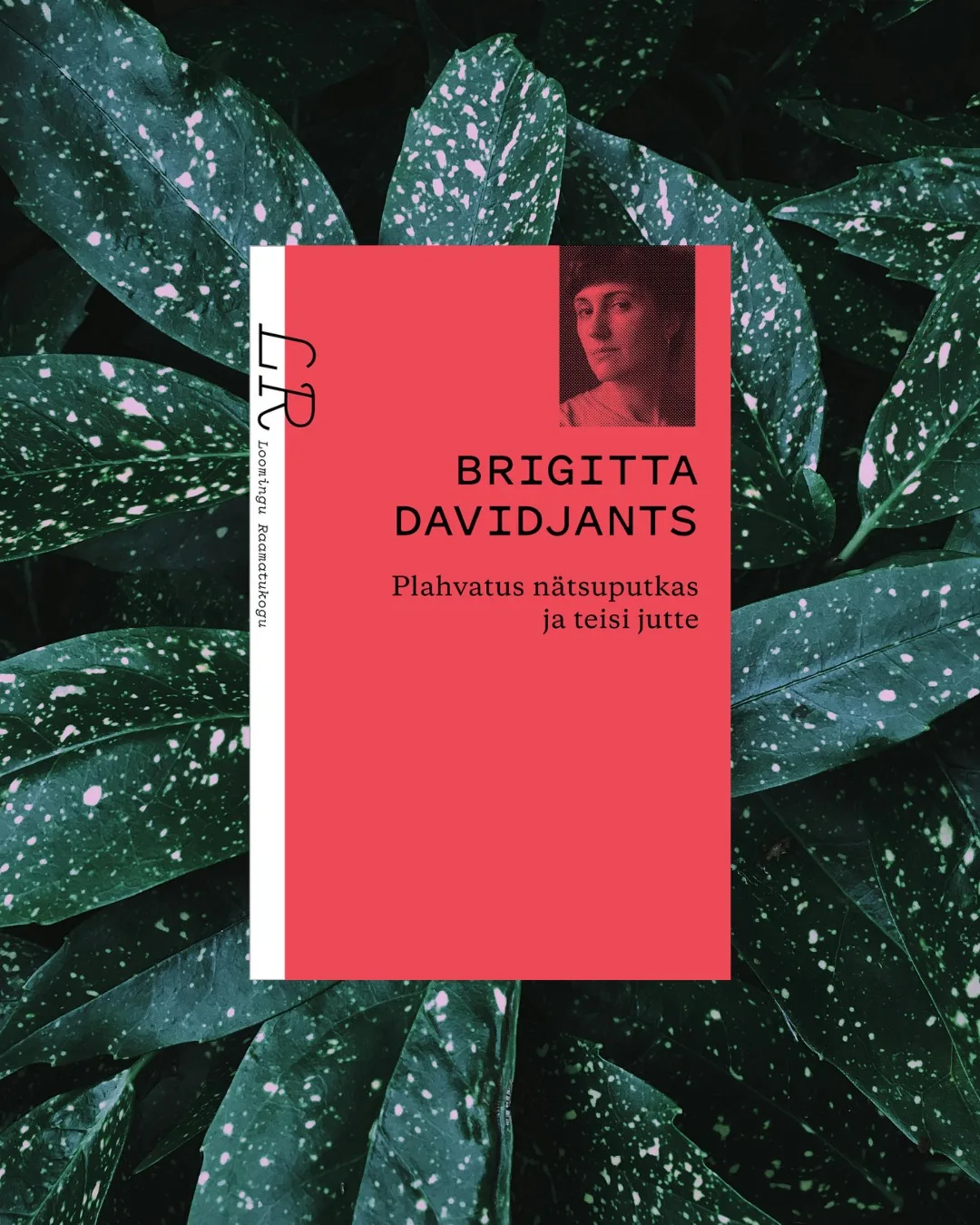 Noore autori olmeportree