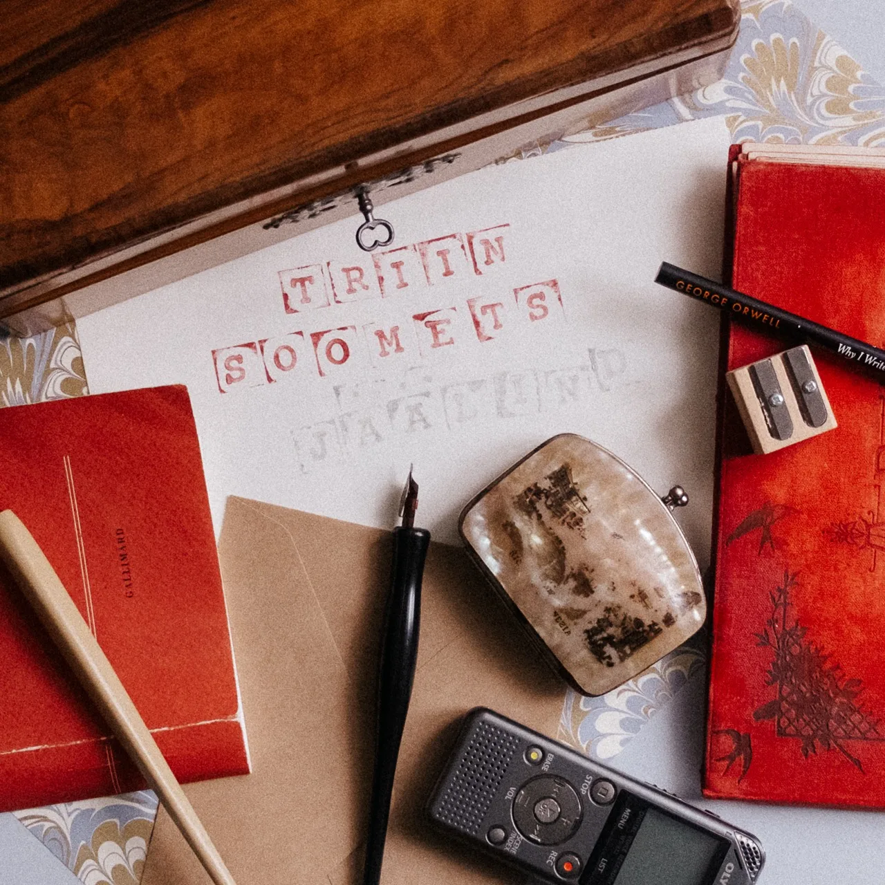 Eesti raamatu aasta blogi: Triin Soomets „Jäälind“